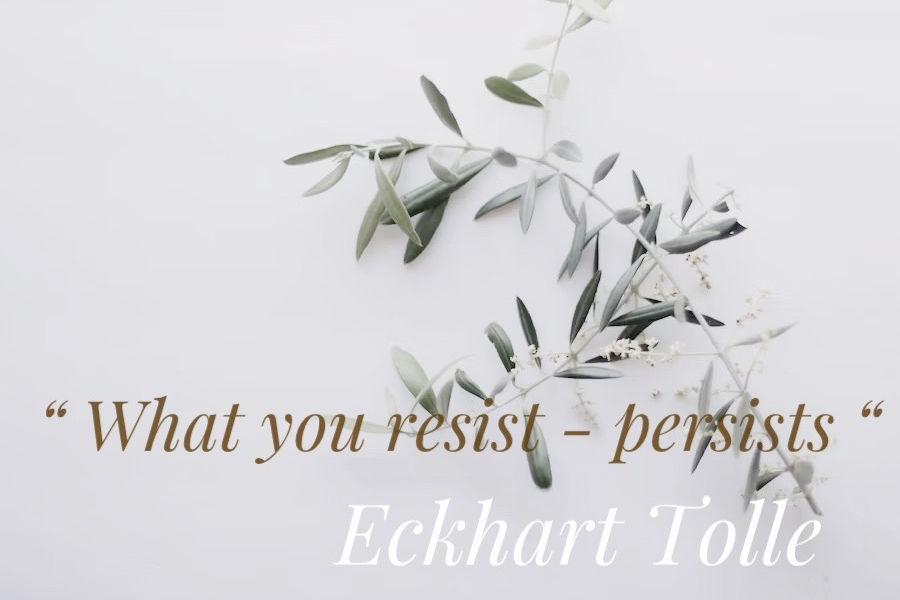 contact eckhart tolle